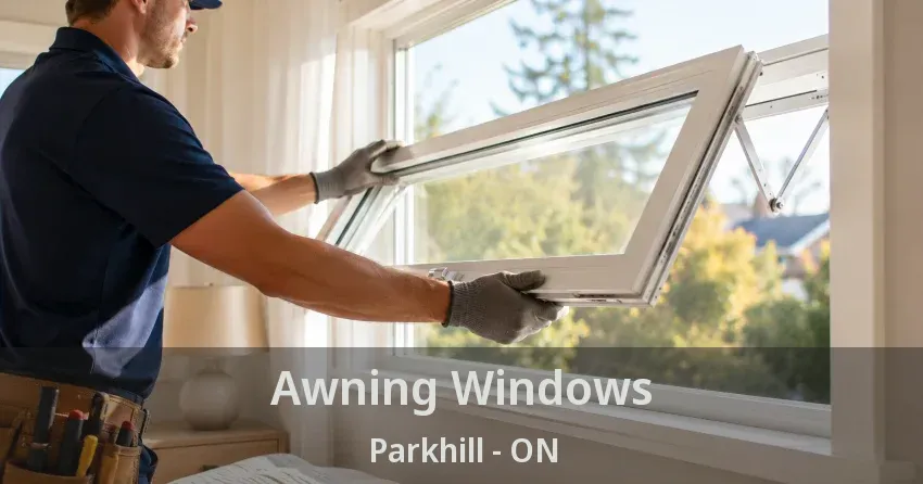 Awning Windows Parkhill - ON