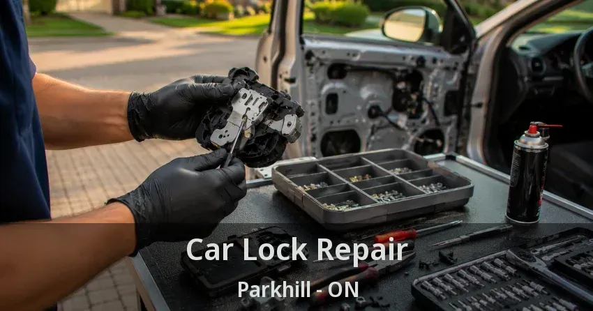 Car Lock Repair Parkhill - ON