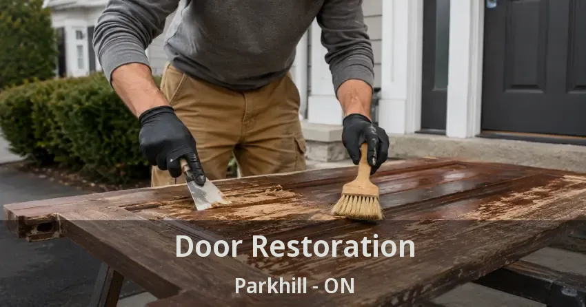 Door Restoration Parkhill - ON
