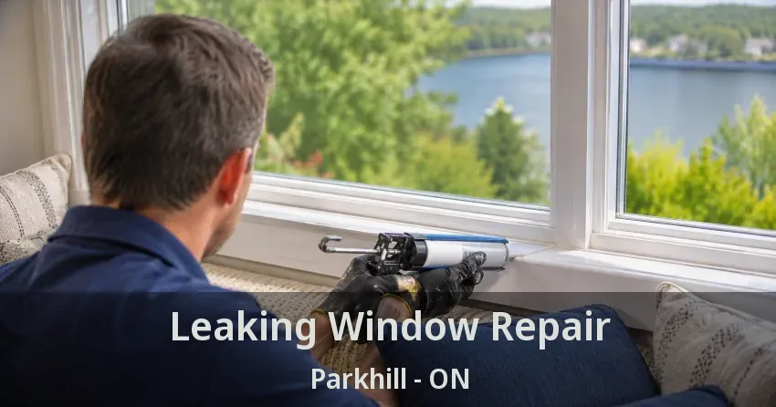 Leaking Window Repair Parkhill - ON