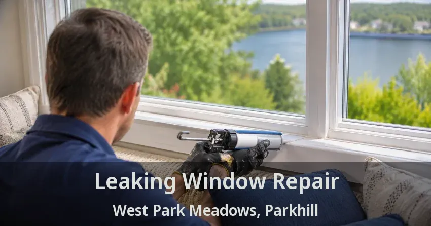 Leaking Window Repair West Park Meadows, Parkhill - ON