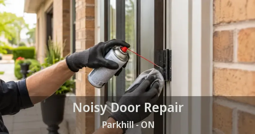 Noisy Door Repair Parkhill - ON