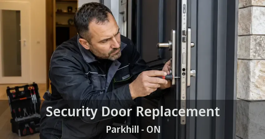 Security Door Replacement Parkhill - ON