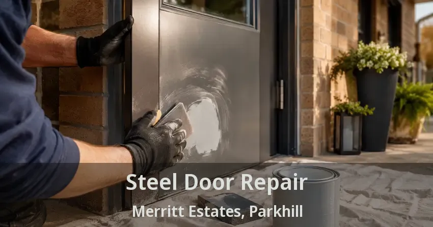 Steel Door Repair Merritt Estates, Parkhill - ON