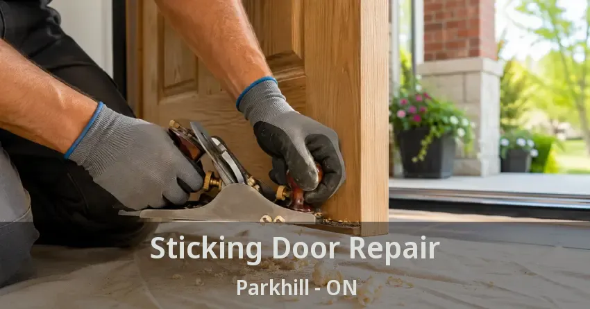 Sticking Door Repair Parkhill - ON