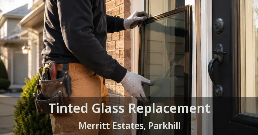 Tinted Glass Replacement Merritt Estates, Parkhill - ON