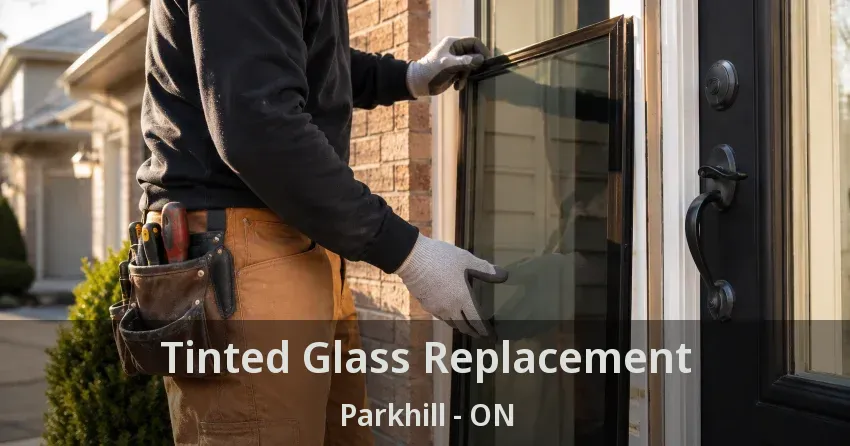 Tinted Glass Replacement Parkhill - ON