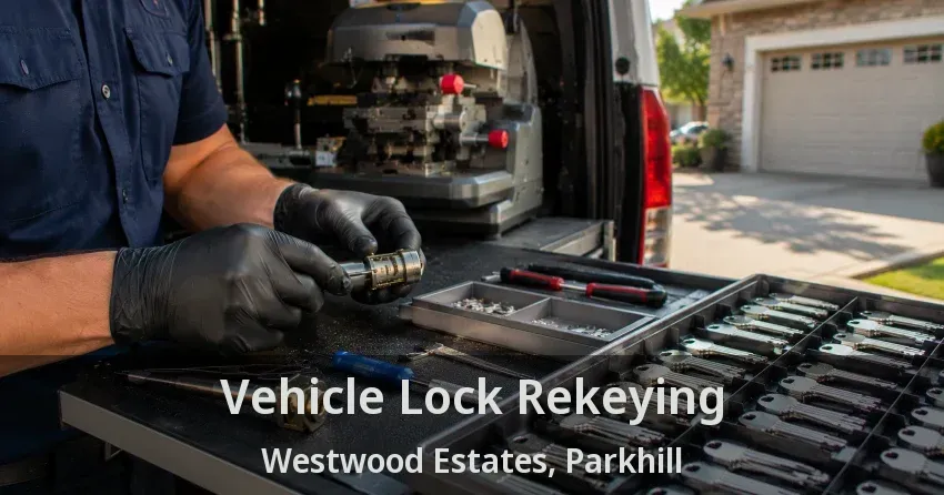 Vehicle Lock Rekeying Westwood Estates, Parkhill - ON
