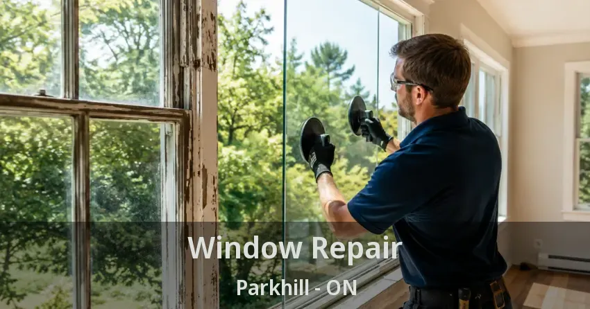 Window Repair Parkhill - ON
