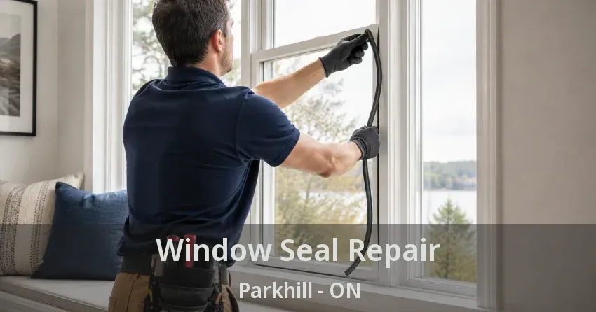 Window Seal Repair Parkhill - ON